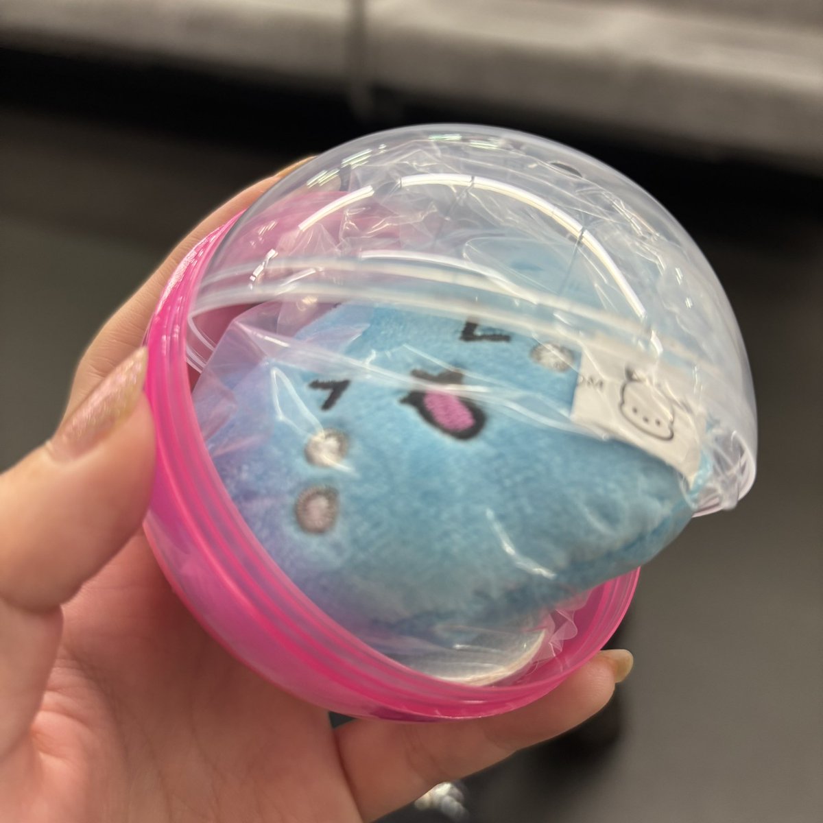 uranepu__'s tweet photo. チェゴシム サンリオ フェイスマスコット ガチャガチャ 交換

【譲】 うわーんゴシム 
【求】 うさゴシム ハローキティ

池袋手渡し 優先
お気軽にお声掛けください https://t.co/3KVXBs833q