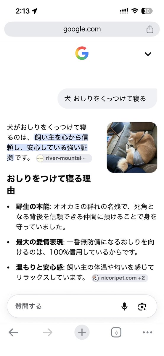 super_shrimp_'s tweet photo. ああ、犬よ...😭❤️ https://t.co/4t5LjaylvQ