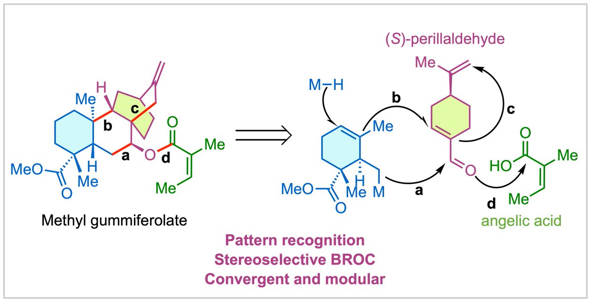 MingjiDai's tweet photo. Happy to share our Total Synthesis
of (−)-Methyl Gummiferolate @J_A_C_S. Pattern recognition identified key starting materials and again the BROC chemistry @BaranLabReads formed key C-C bond and stereocenters. Congratulations to Weizhao and Jingsong! 
https://t.co/UXj14SuwlD https://t.co/Ih9M7GWjH5