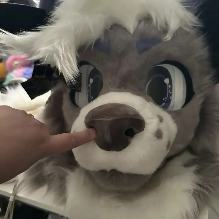 crow_desigen's tweet photo. Custom Fursuit Heads 
Handmade • Custom Designs • Made to Order
Bring your fursona to life!
Payment Plans Available
DM me for commissions &amp; details
#Fursuit #FursuitHead #Furry #Fursona #FursuitMaker #FursuitCommission #Cosplay https://t.co/cUSgqCr7C3
