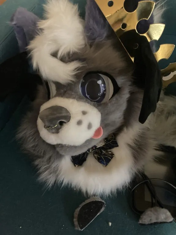 crow_desigen's tweet photo. Custom Fursuit Heads 
Handmade • Custom Designs • Made to Order
Bring your fursona to life!
Payment Plans Available
DM me for commissions &amp; details
#Fursuit #FursuitHead #Furry #Fursona #FursuitMaker #FursuitCommission #Cosplay https://t.co/cUSgqCr7C3