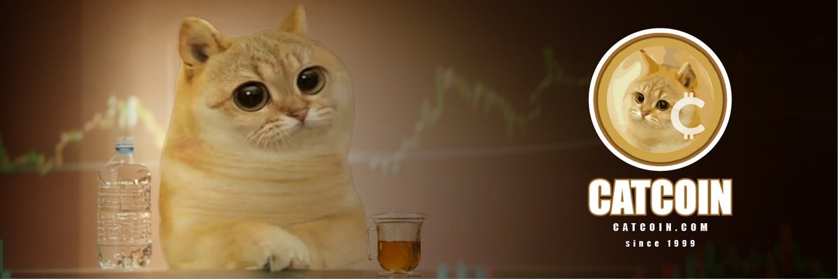 catcoin tweet picture