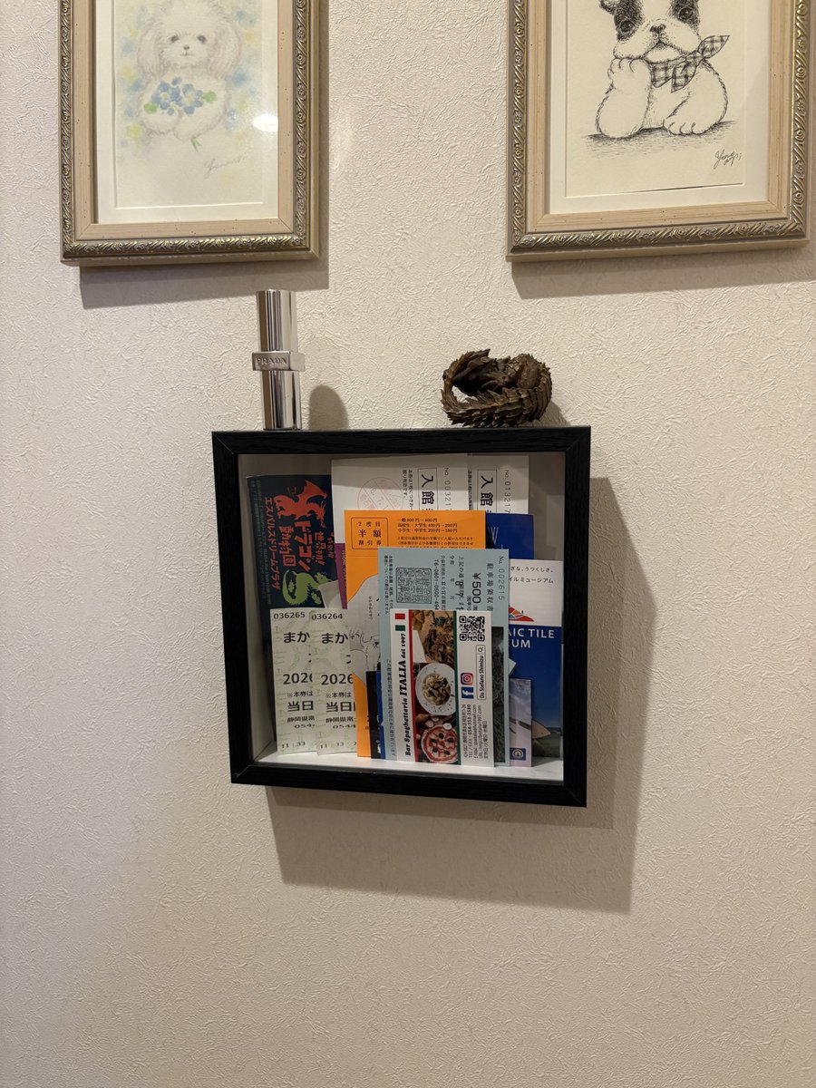 Fji_chan's tweet photo. チケットをSHEINで買った入れ物にこうして飾ってるかわいい https://t.co/1UZZ1WK3mM