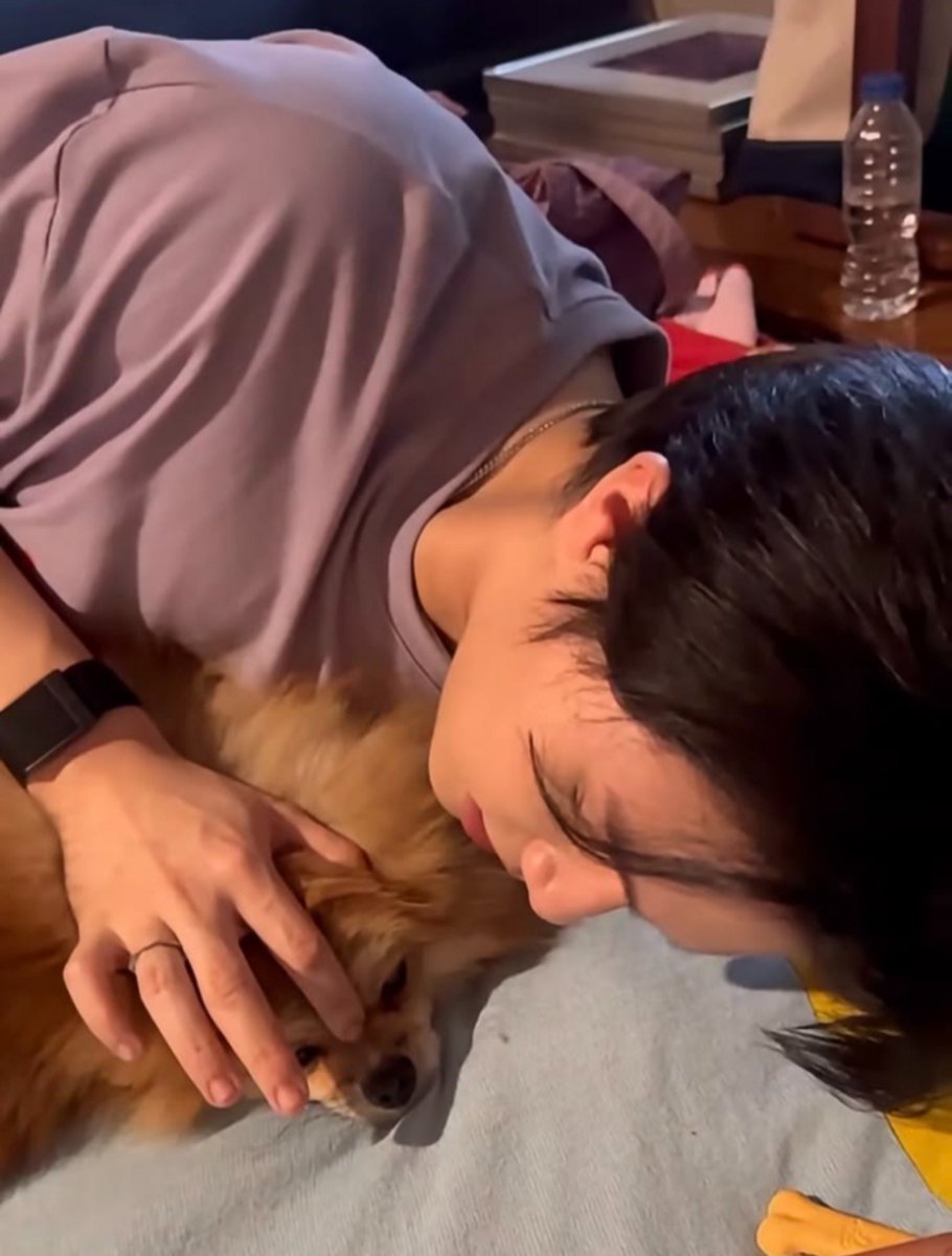 IsitaChacin's tweet photo. Quieres morirte de ternura? Mira a Willy descansando junto a Mademoiselle🥹🫶✨ #YouManiacSeries #WilliamEst https://t.co/wYGQhEM98F
