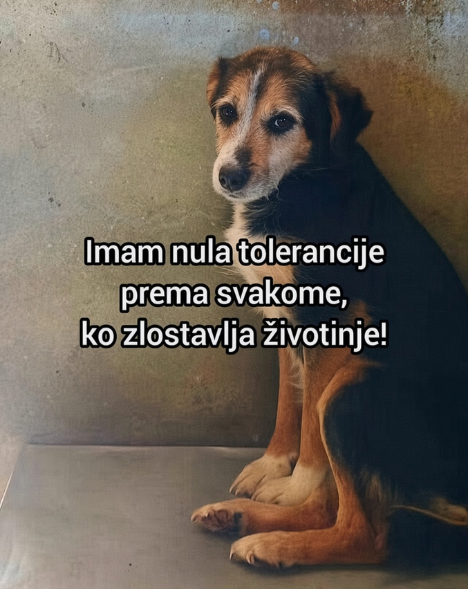 bobyshka's tweet photo. 📖 https://t.co/4UpTuPccsR