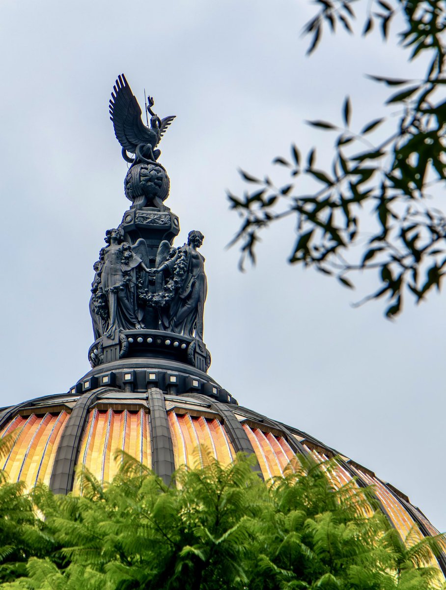 mbellasartes's tweet photo. La cúpula del Palacio de Bellas Artes fue una propuesta poco habitual para la arquitectura teatral de la época.

En lugar de colocarla sobre la sala de espectáculos, Adamo Boari la situó sobre el gran vestíbulo, donde la luz natural conviviría con vitrales, plantas y flores.

💛 Hoy, en el 92 aniversario de la inauguración del Palacio de Bellas Artes, mira hacia arriba y aprecia este detalle de su arquitectura.