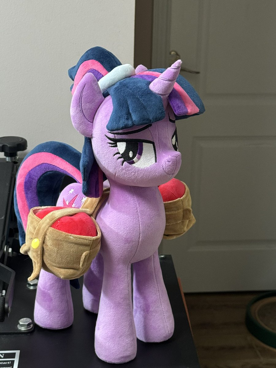 WoodyB67221's tweet photo. Twilight Sparkle is such a hardworking pony! https://t.co/RvlYuunLUD