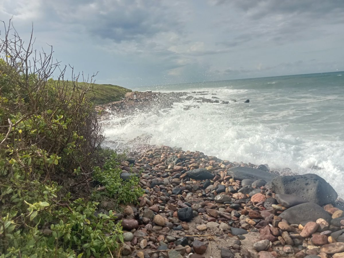 LasLabradas's tweet photo. ⚠️ AVISO IMPORTANTE | Debido al alto oleaje y la marea fuerte, la zona arqueológica de Las Labradas representa un alto riesgo para visitantes.

Las olas alcanzan el sendero y no hay visibilidad ni acceso seguro hacia los petrograbados. 👇 https://t.co/Pl9T5lNrC9