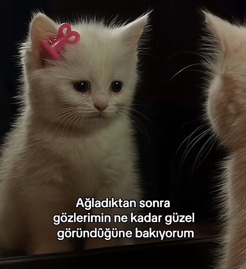 kayboIduk's tweet photo. https://t.co/VMtUqi9eOP