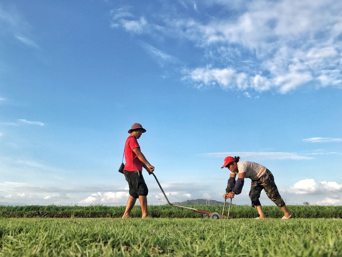 70ny2512's tweet photo. [Yunzhi (耘挚), Zhaoyong (找勇), and Luan (滦) stand together for a hardworking farming gathering!]， https://t.co/FkG8sMTI3w