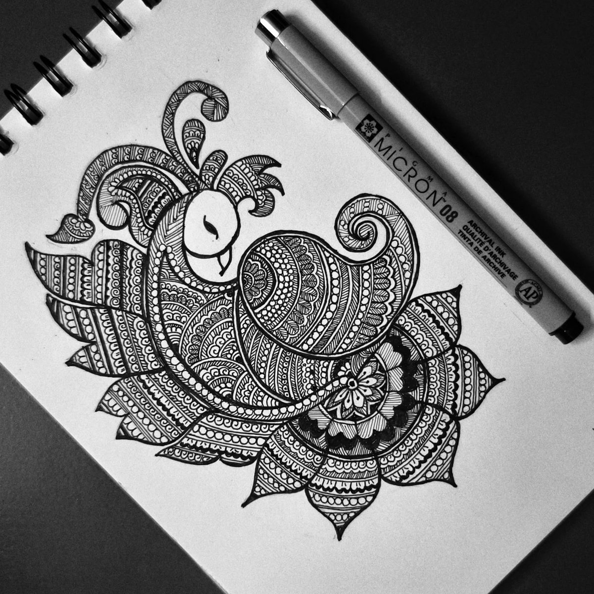 DarcieBranvcp's tweet photo. Peacock https://t.co/JW48NORBzh