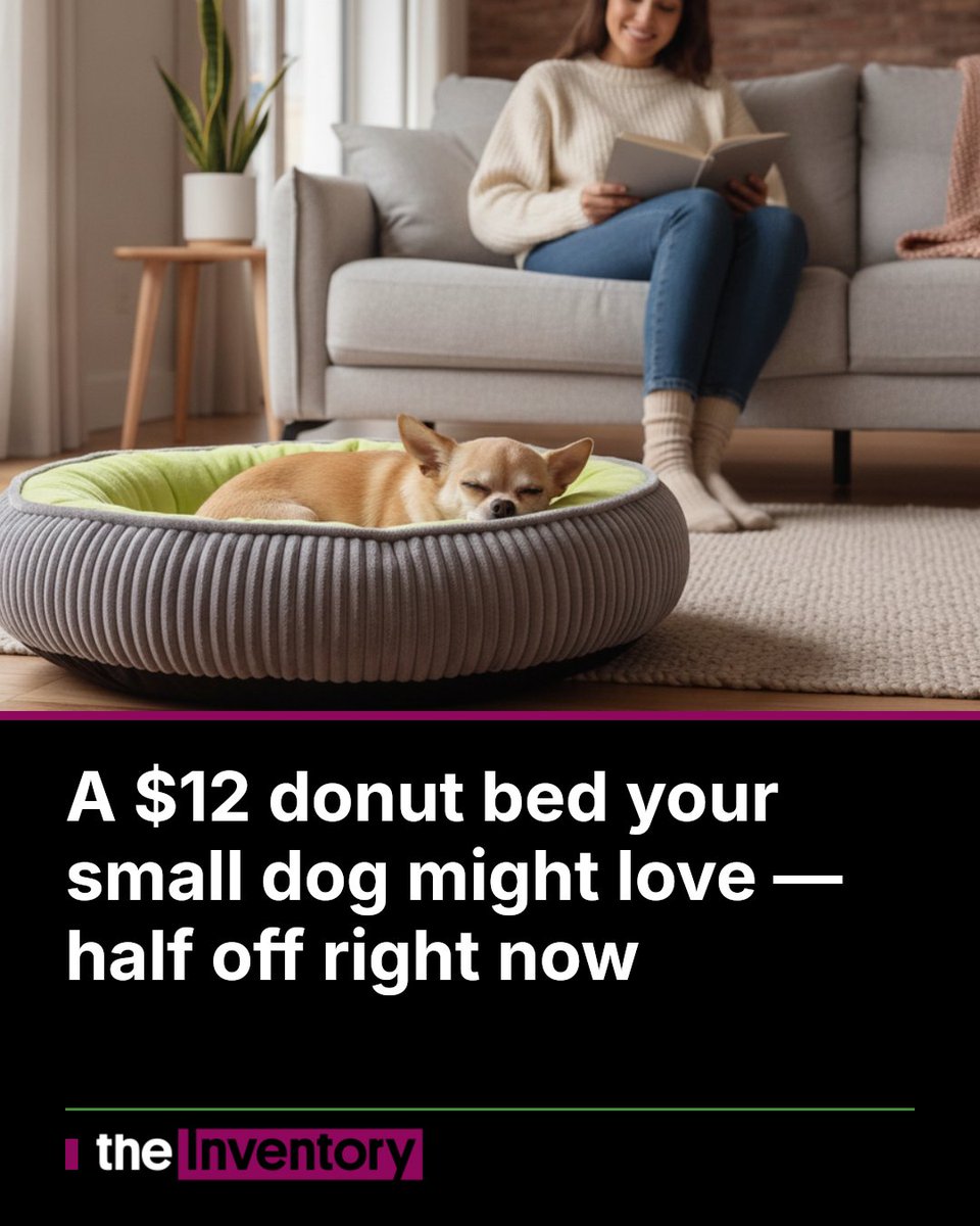 ItsTheInventory's tweet photo. A $12 donut bed your small dog might love — half off right now
If your small dog is a chronic curler, this velvet corduroy donut bed on Amazon is a low-risk way to test the trend for just $12.49 — 50% off the regular pr
https://t.co/bClSuATnr9
#DogBed #PetDeals #SmallDogOwners https://t.co/GhDYCsJvvE