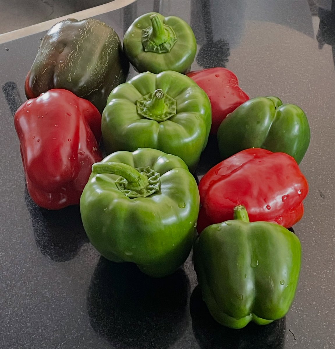 DerekXPMcDonKAa's tweet photo. 🍃 De oogst van de paprika’s 🫑. Wat een knoepers hè 🤭. Vandaag naar huis met alweer een mand vol. Met in totaal 6 paprika planten, gele, oranje, zwarte, rode en groene komt de teller vandaag op 34 😊🫑🍃 Wat is ( moes ) tuinieren toch leuk en https://t.co/wlcl5gdqbi