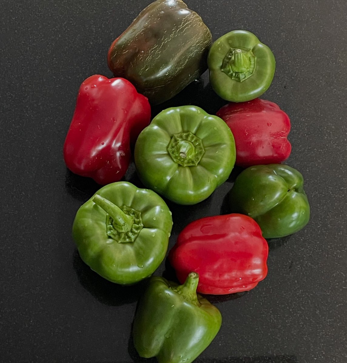 DerekXPMcDonKAa's tweet photo. 🍃 De oogst van de paprika’s 🫑. Wat een knoepers hè 🤭. Vandaag naar huis met alweer een mand vol. Met in totaal 6 paprika planten, gele, oranje, zwarte, rode en groene komt de teller vandaag op 34 😊🫑🍃 Wat is ( moes ) tuinieren toch leuk en https://t.co/wlcl5gdqbi
