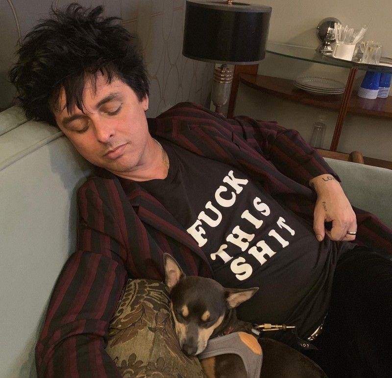 Rahul_ordinary's tweet photo. Think its almost time to wake him up ?
#greenday https://t.co/vPNEtruAh6