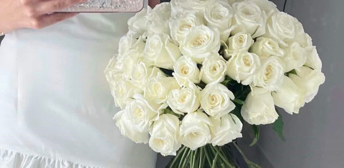 SenorRosas's tweet photo. أنا
وورداتي🌺 https://t.co/9xZZxJNjHZ