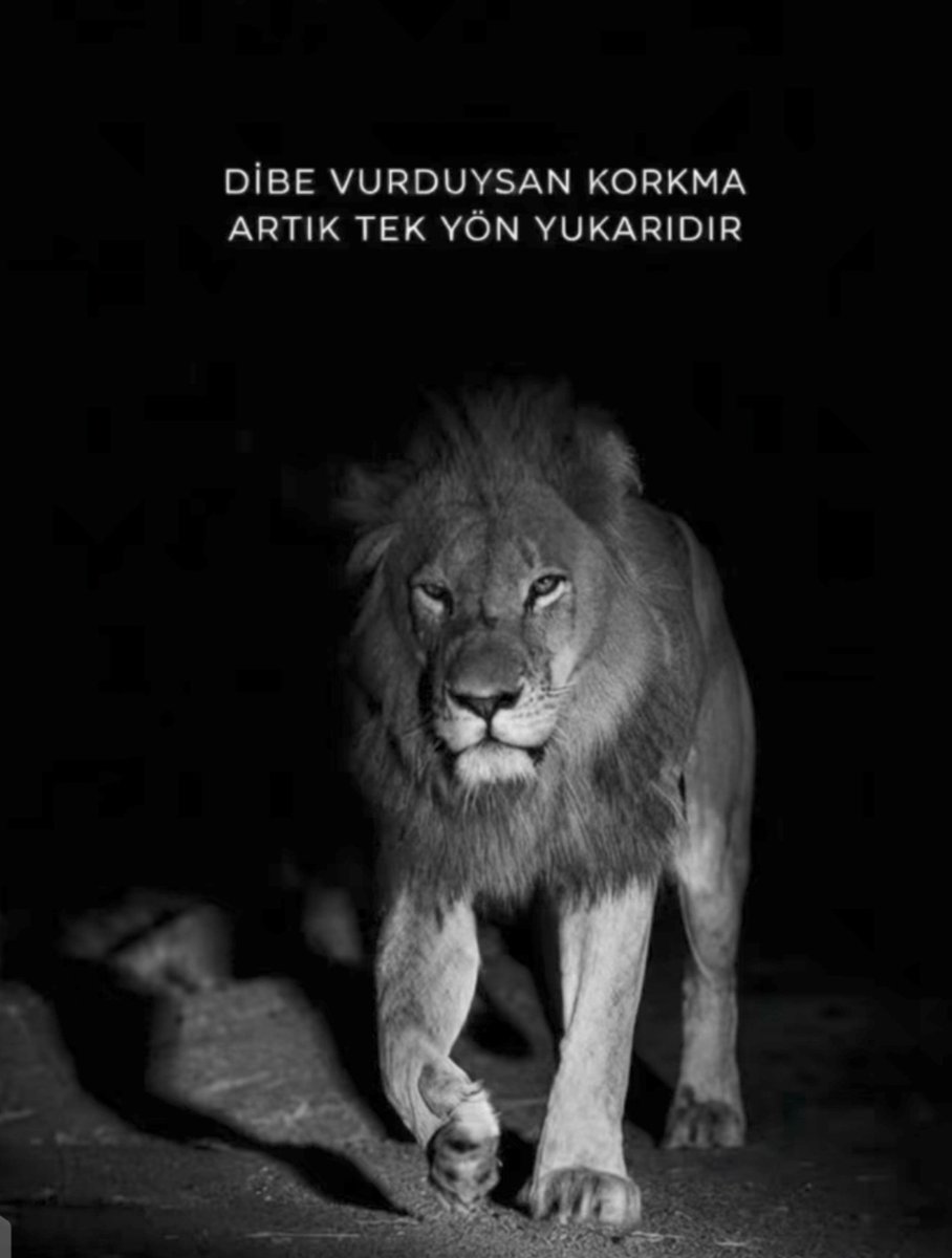 MusaKar18131302's tweet photo. Dibim dibini gördük.. Gayri Korkacak bir şey yok.. https://t.co/KqefJSYJPt