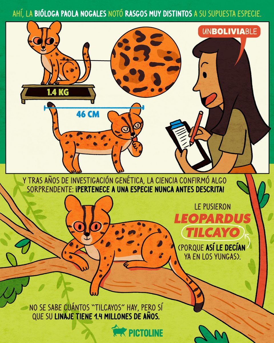 pictoline tweet picture