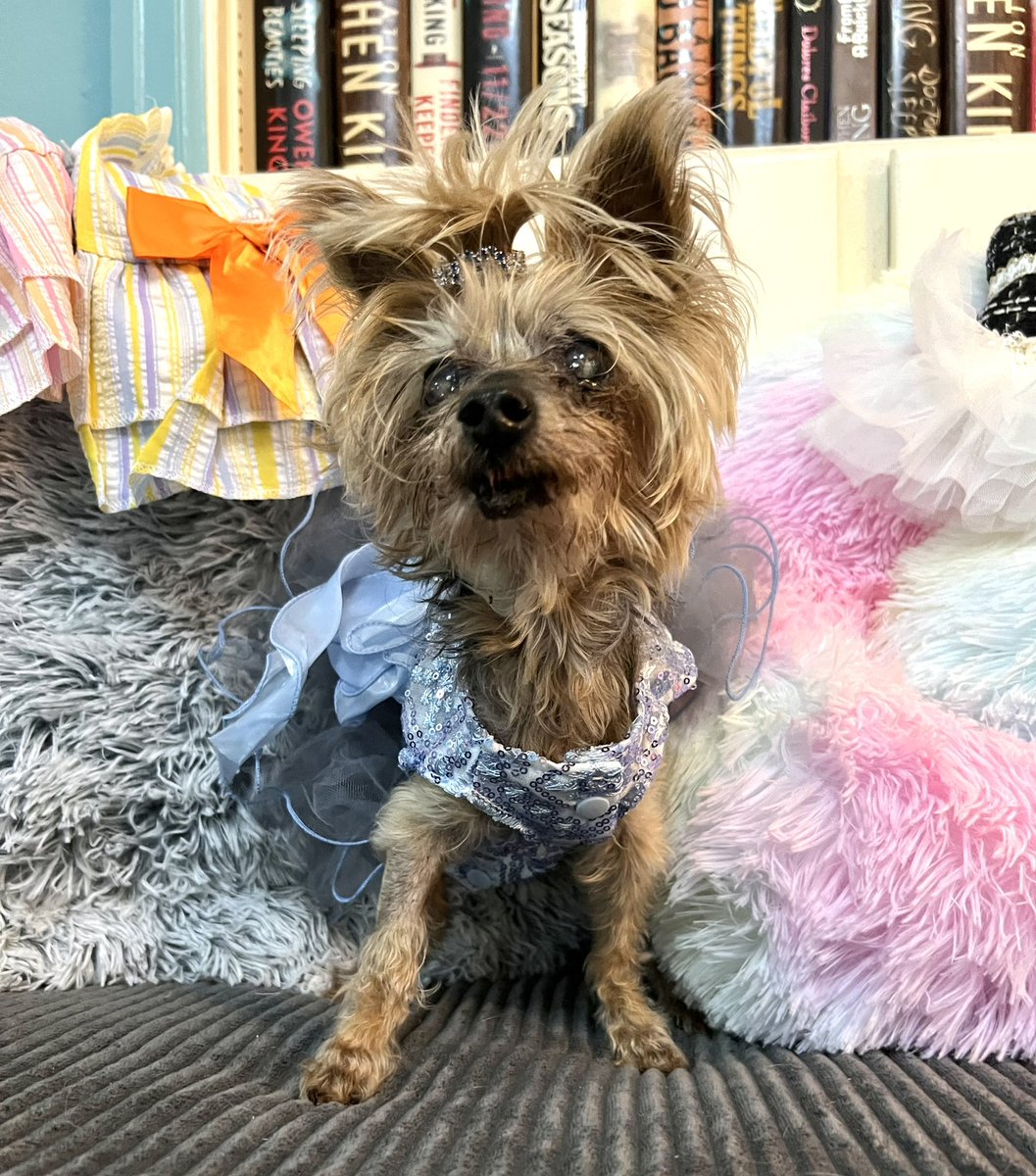 TheHerdHouse's tweet photo. Fancy #FallFashionWeek with Jennifer Aniston.
Yesterday‘s HerdMail is today’s party! Thank you so much.
#OperationSaveAFriend #KindnessMatters https://t.co/EdZC4uFbcT