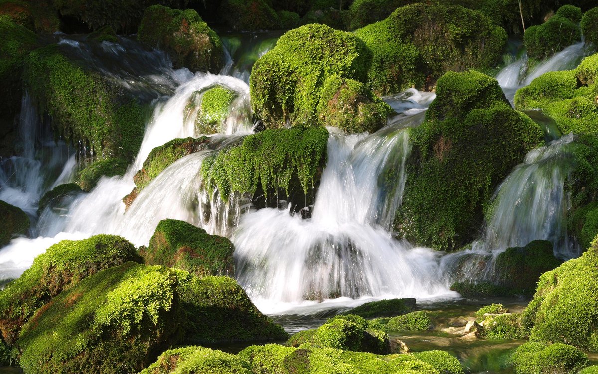 vrix_ez48002's tweet photo. At the ancient tomb, a rare moss grows by the gurgling waterfall, so peaceful!， https://t.co/vRNF6XHpnN