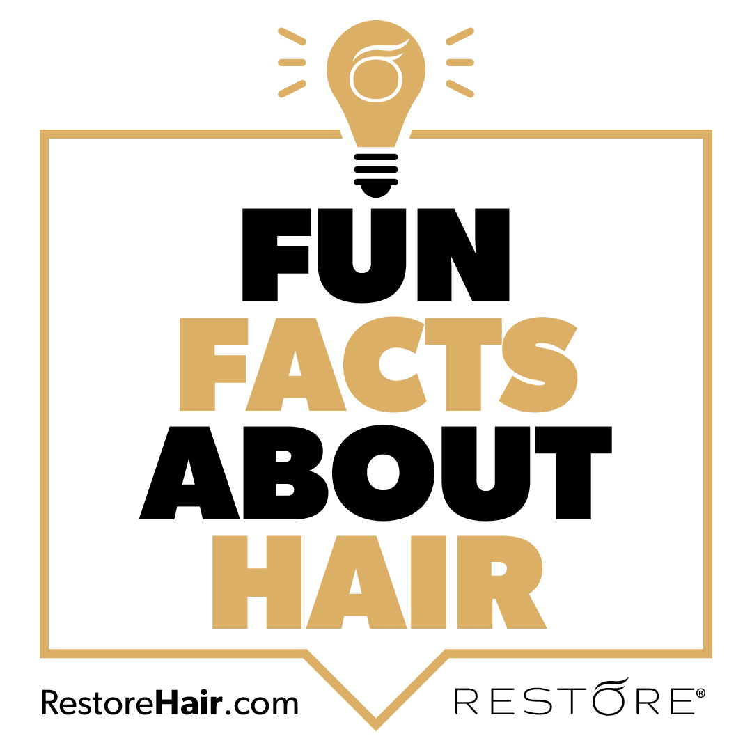 restore tweet picture