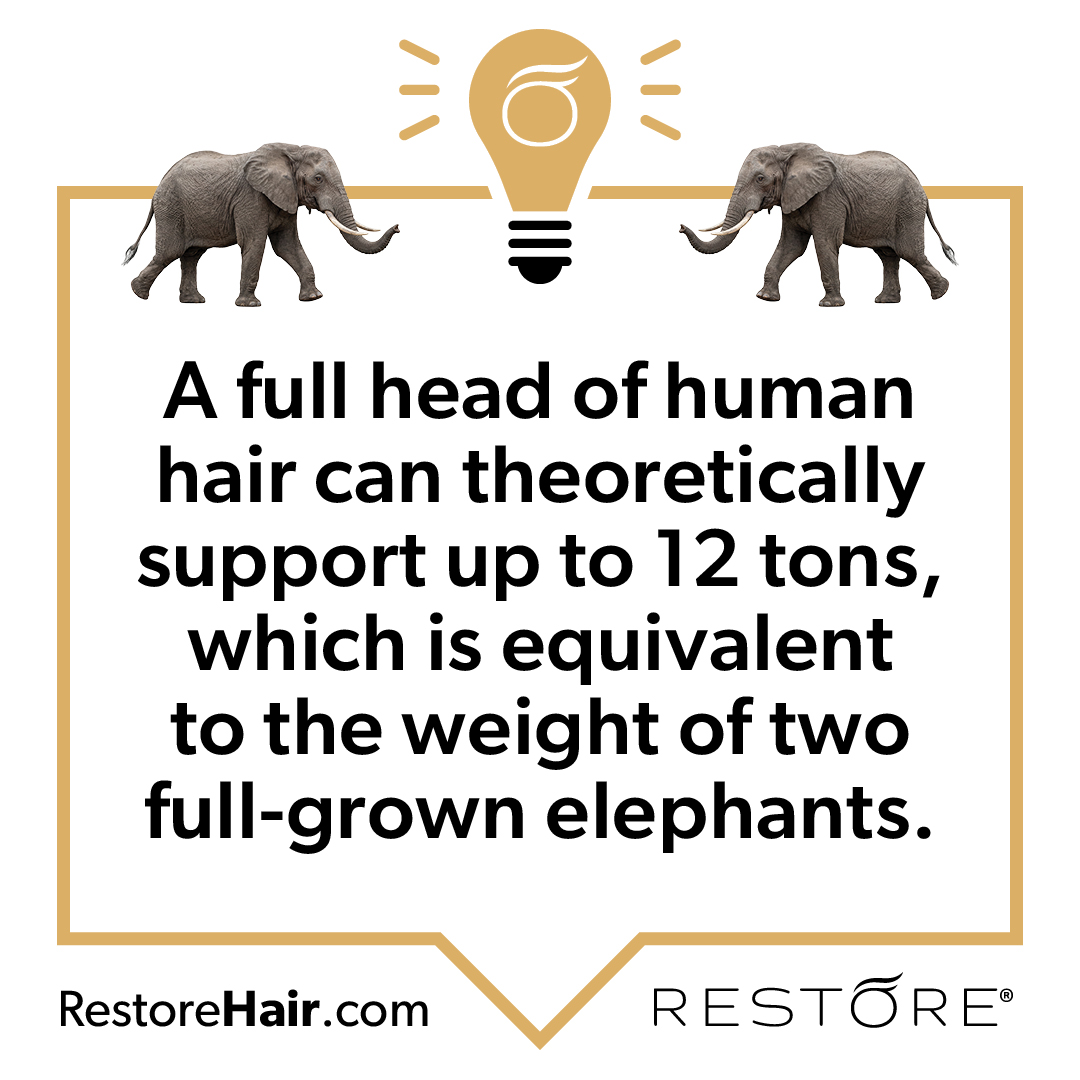 restore tweet picture