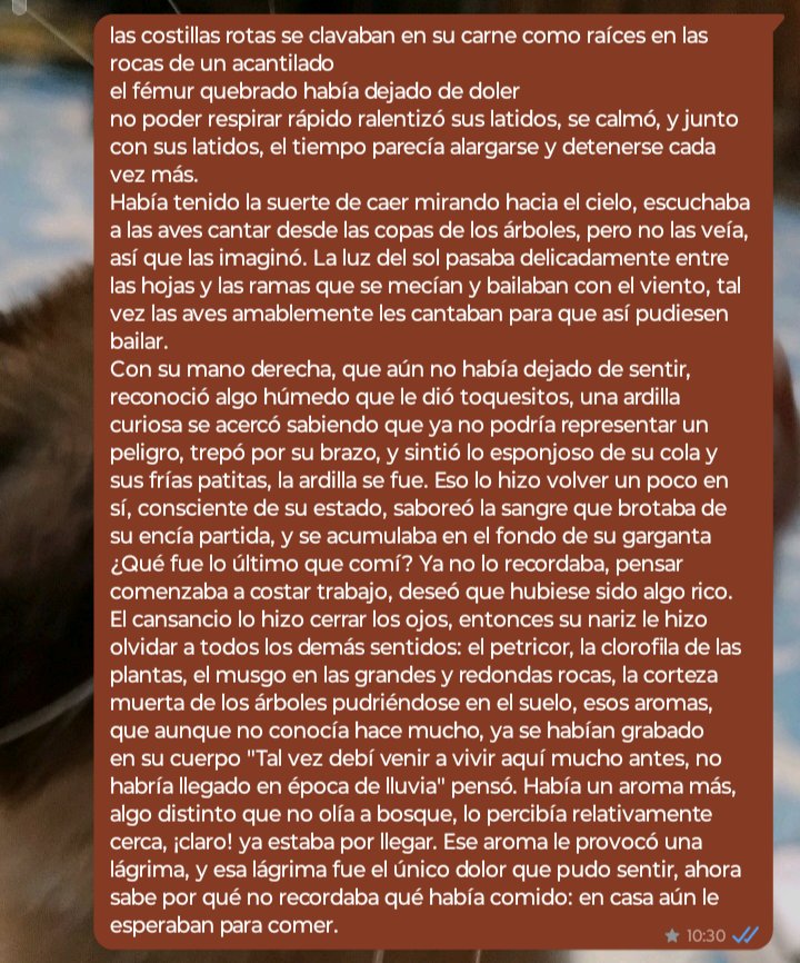 triforceboy_boy's tweet photo. Escribí esto hace tiempo, no está muy bien redactado porque estaba medio inspirado y escribiendo rápido. Unos días después, un vecino perdió la vida al caerle una roca enorme encima. https://t.co/DpTztys4NQ