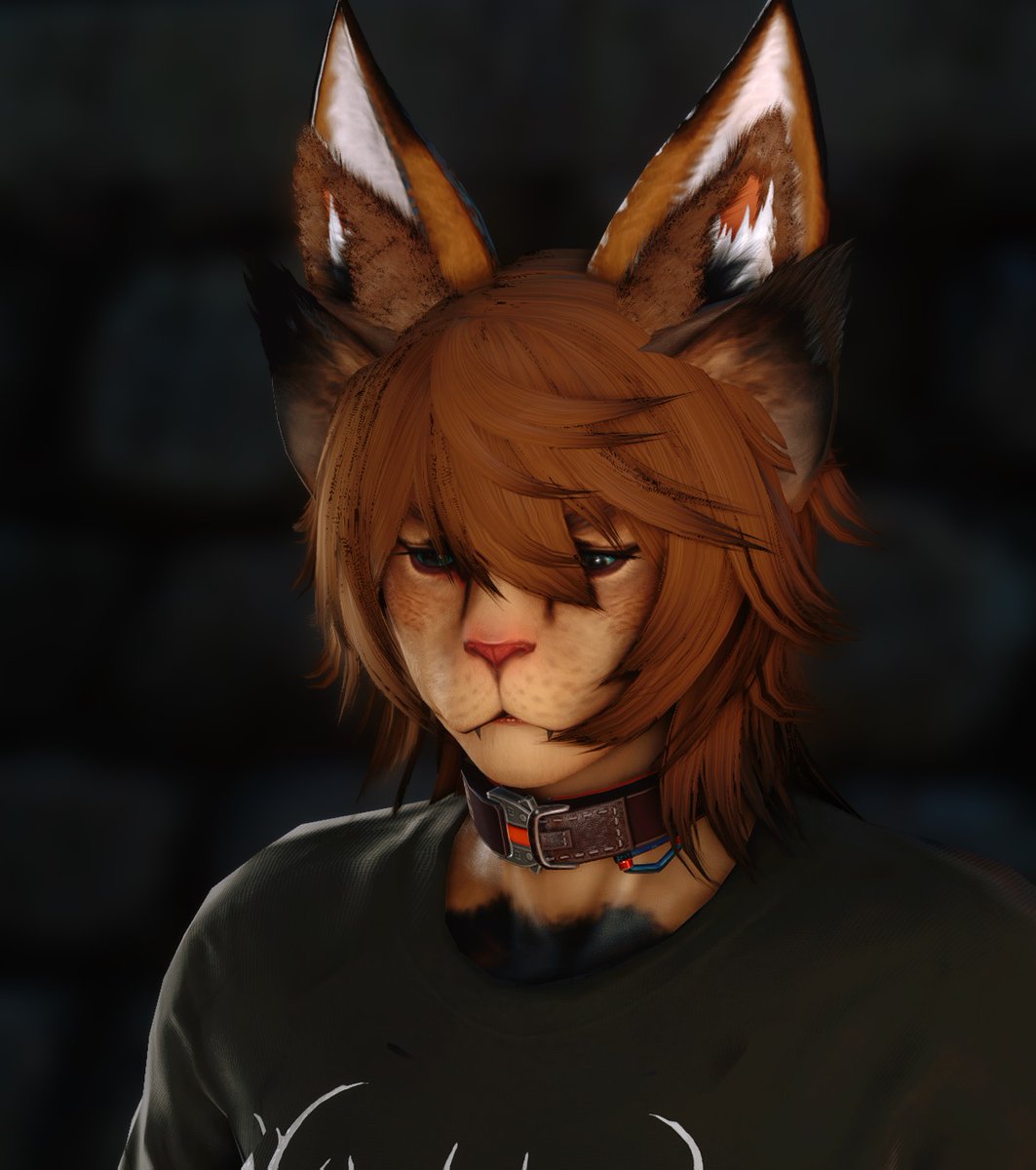 AutisticWeeaboo's tweet photo. would you still like me if I had 6 ears...? #Hrothgal #Modbeast https://t.co/gk8ceoHLXW
