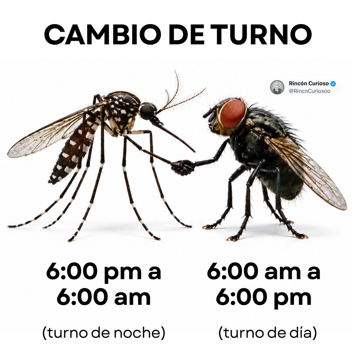 RincnCuriosoo's tweet photo. Asi trabajan sus horarios... https://t.co/MBXTlOReWo