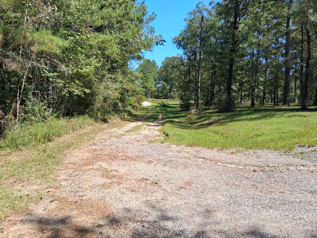 kennonhen's tweet photo. The Land Man Has 2 Camper Spots on 3 Acres in Wilmer Alabama 

Brokered by IXL Real Estate 

Kennon " Land Man " Henderson 
251-295-3564 

14765 Dolive Ln, Wilmer, AL 36587
Priced at 90,000

No Owner Financing https://t.co/nu8DaEibZ7