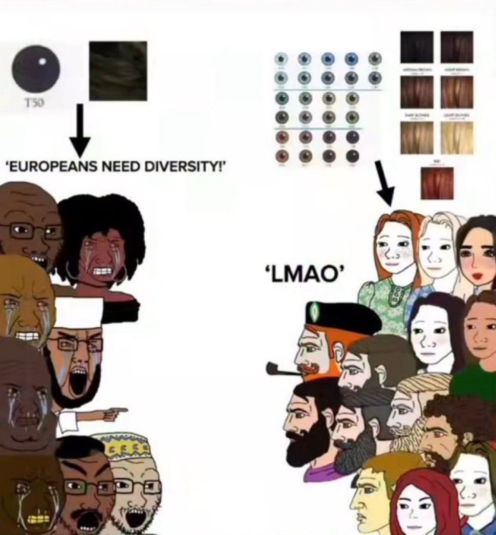PalePatriot14's tweet photo. WE ALREADY HAVE DIVERSITY!!!

We don’t want our IQ to be lowered , piss off. https://t.co/lLTSYiL4vp