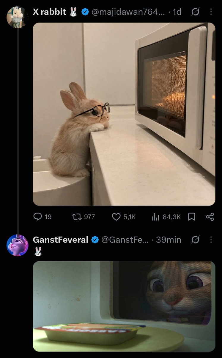 judyz3_wilde's tweet photo. 🐰🥺🥕 #wildehopps #zootopia #judyhopps https://t.co/dRXXbGq2vu