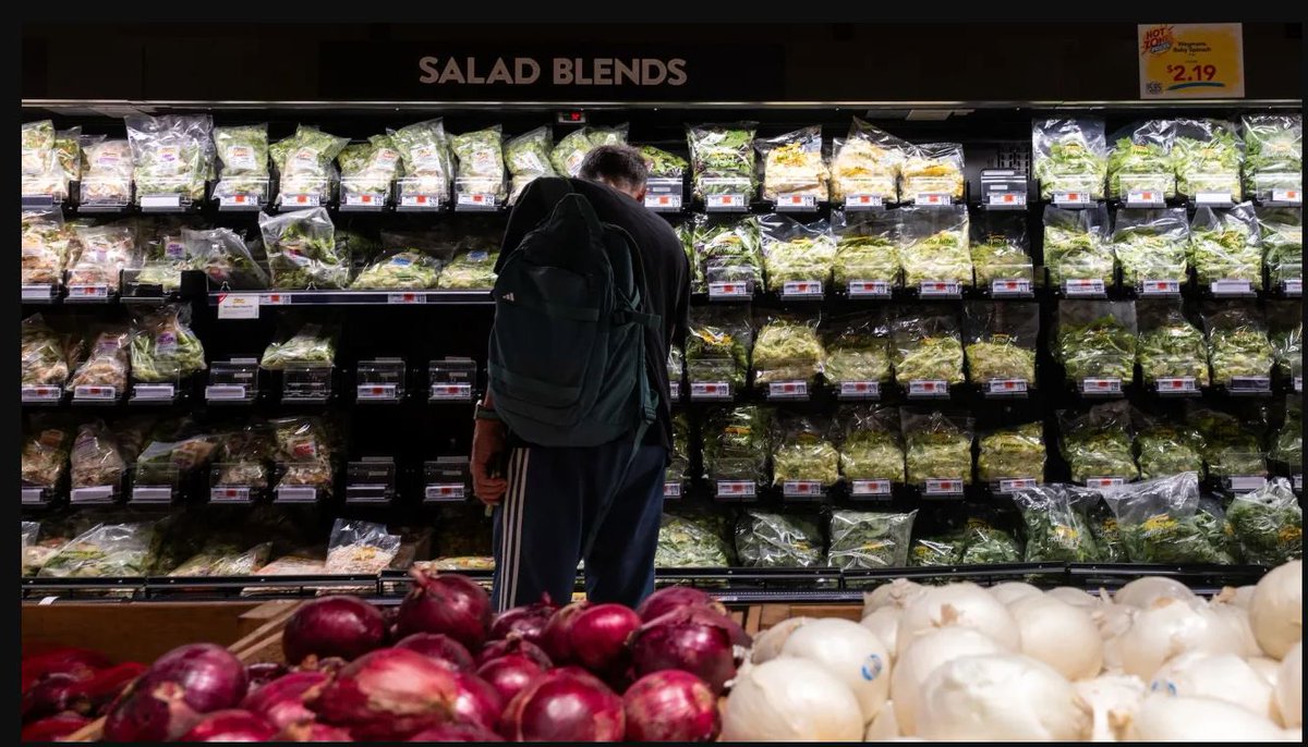 gmrstudios's tweet photo. A Sense of Doubt blog post 4239 - Why So Many Food-Bourne Illnesses? https://t.co/xXz1lfiQm3 #Salad #cyclosporiasis #Infections #PublicHealth #GOPFail https://t.co/N54DMQHsmP