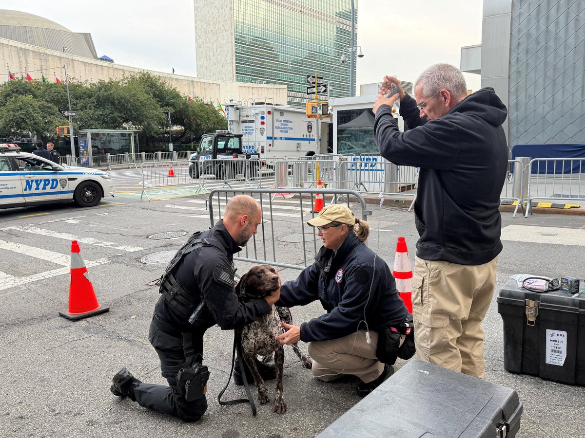 ASPRgov's tweet photo. Behind every mission-ready K9 is a team of dedicated professionals. ASPR/NDMS's National Veterinary Response Team was proud to support the U.S. Secret Service during the U.N. General Assembly by keeping working animals healthy and ready to serve. #UNGA https://t.co/5WJl7rJq0b