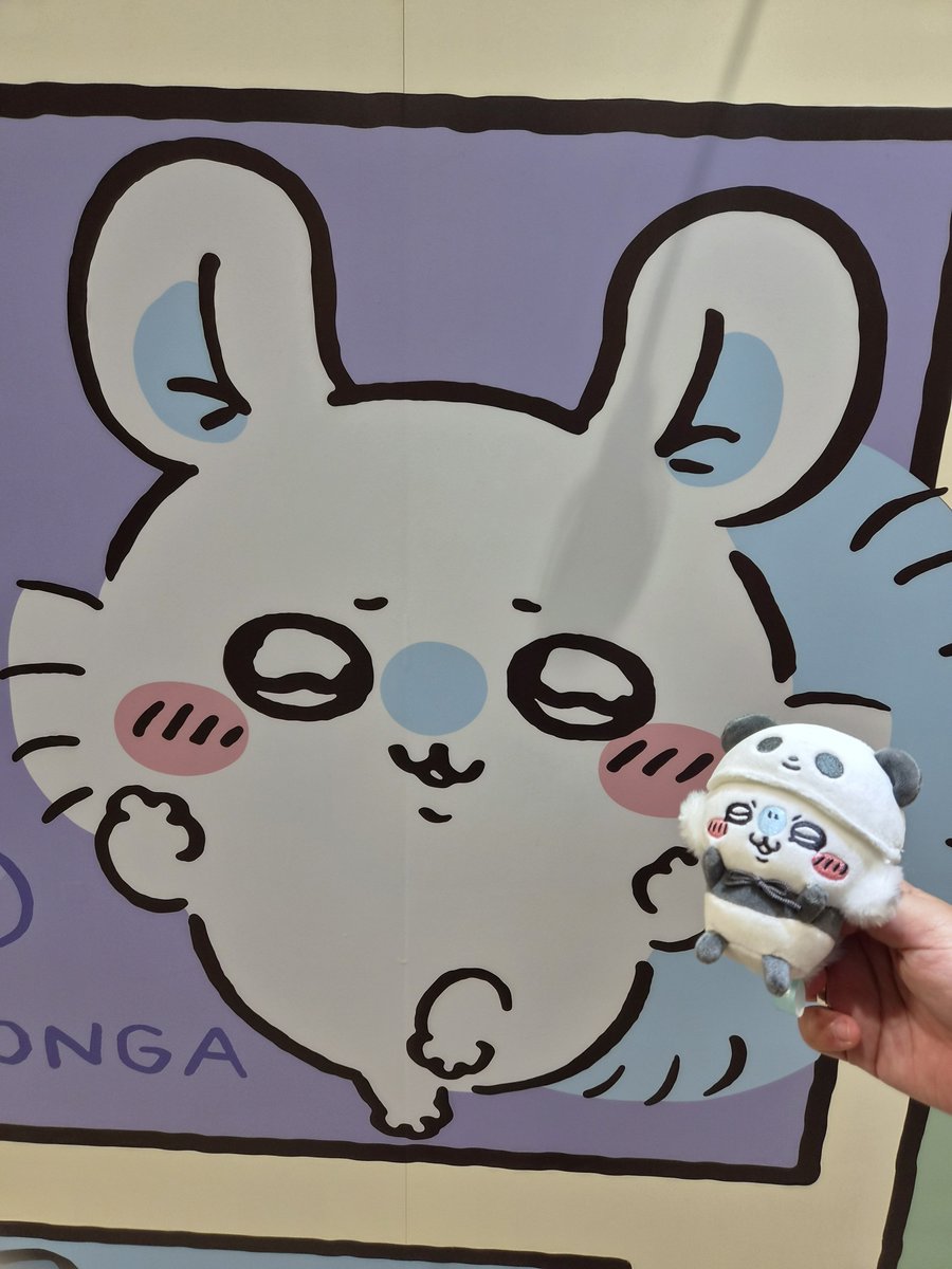 sio__mm's tweet photo. #먼작귀_트친소 #치이카와_트친소

소소하게 몽가 좋아하고 있습니다🐿🩵 
비계에서 혼자 좋아하다가 같이 얘기 나누고 싶어서 안쓰는 계정 가져왔어요🥺💙
몽가와 함께하는 일상이 포함되어있고 몽쪽이라고 종종 표현하지만 애정어린표현이니 오해하진 말아주세요.

잘 부탁드립니닷 .ᐟ https://t.co/302FWYT7l5