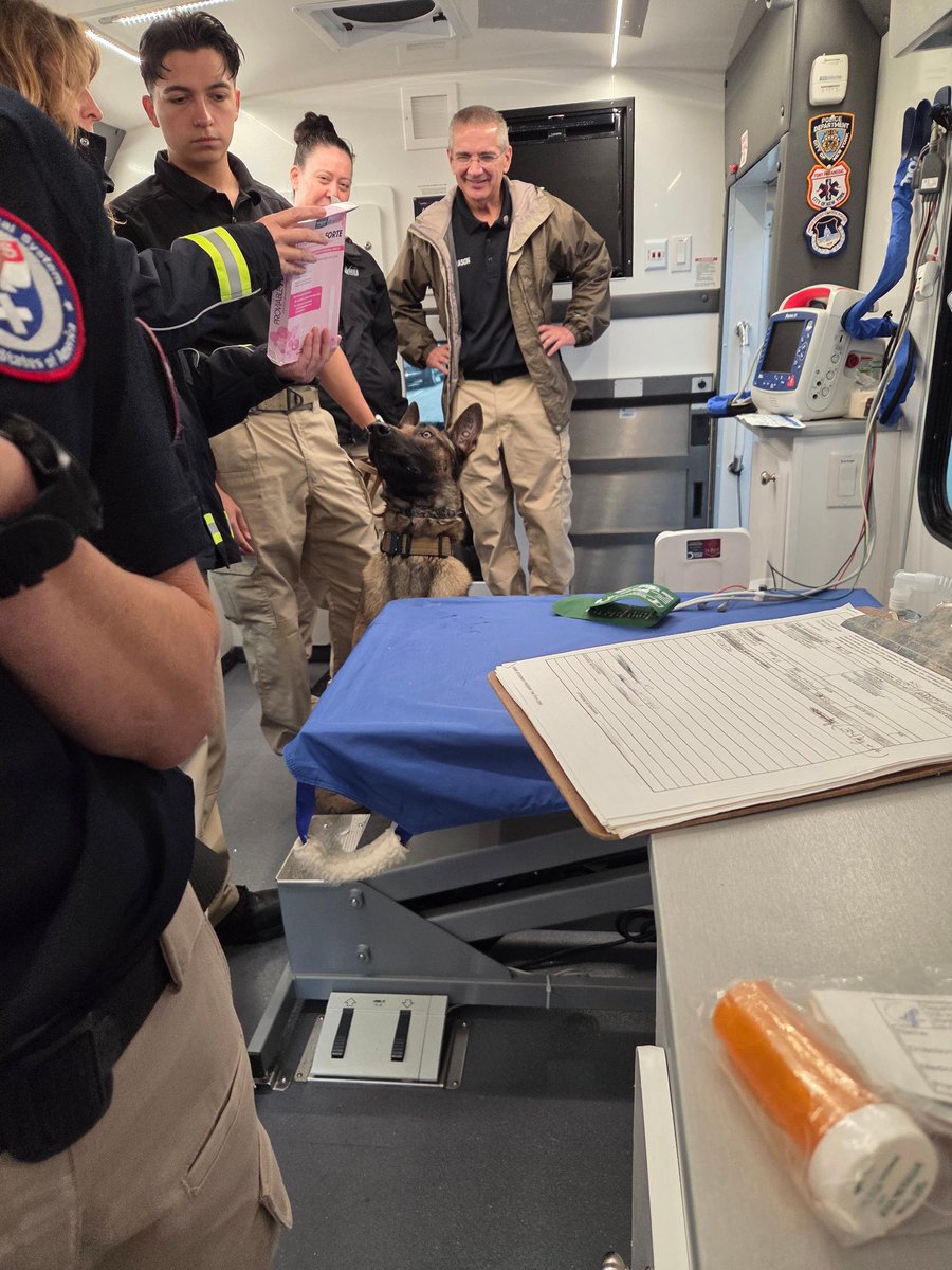 ASPRgov's tweet photo. Behind every mission-ready K9 is a team of dedicated professionals. ASPR/NDMS's National Veterinary Response Team was proud to support the U.S. Secret Service during the U.N. General Assembly by keeping working animals healthy and ready to serve. #UNGA https://t.co/5WJl7rJq0b