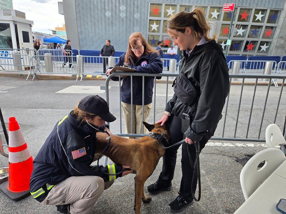 ASPRgov's tweet photo. Behind every mission-ready K9 is a team of dedicated professionals. ASPR/NDMS's National Veterinary Response Team was proud to support the U.S. Secret Service during the U.N. General Assembly by keeping working animals healthy and ready to serve. #UNGA https://t.co/5WJl7rJq0b