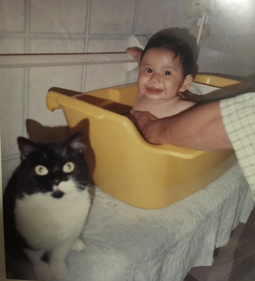 eligleza's tweet photo. La gatita Kika y yo

Kika era 3 años mayor que yo

Murió cuando yo tenía 19 y ella 21 años https://t.co/dyZHYtyMNX