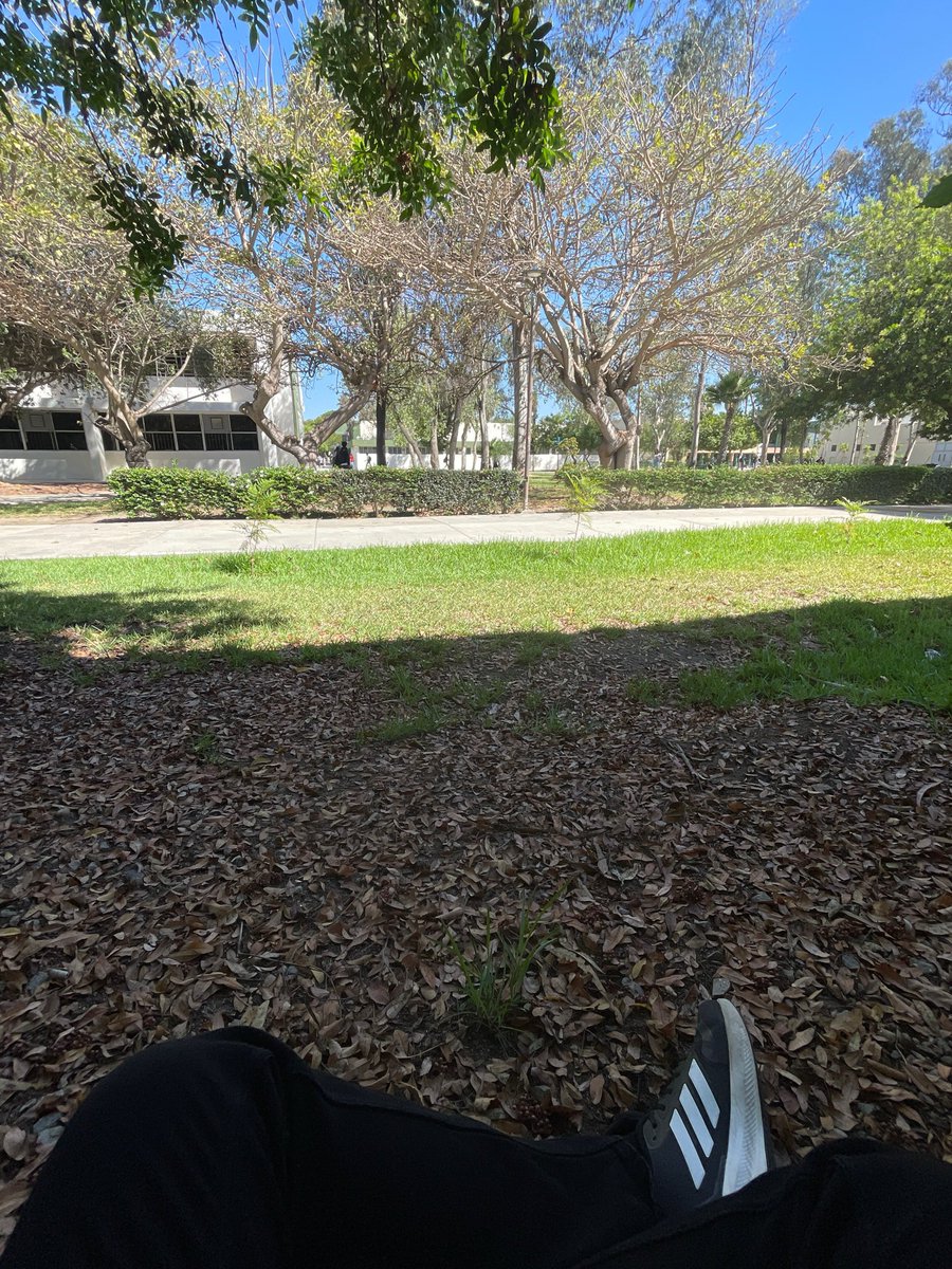 AxelLycross's tweet photo. No tengo ganas de escribir en inglés acabo de salir de un examen y ahora toca disfrutar de las vistas en la universidad. https://t.co/KSrpNpZWP1