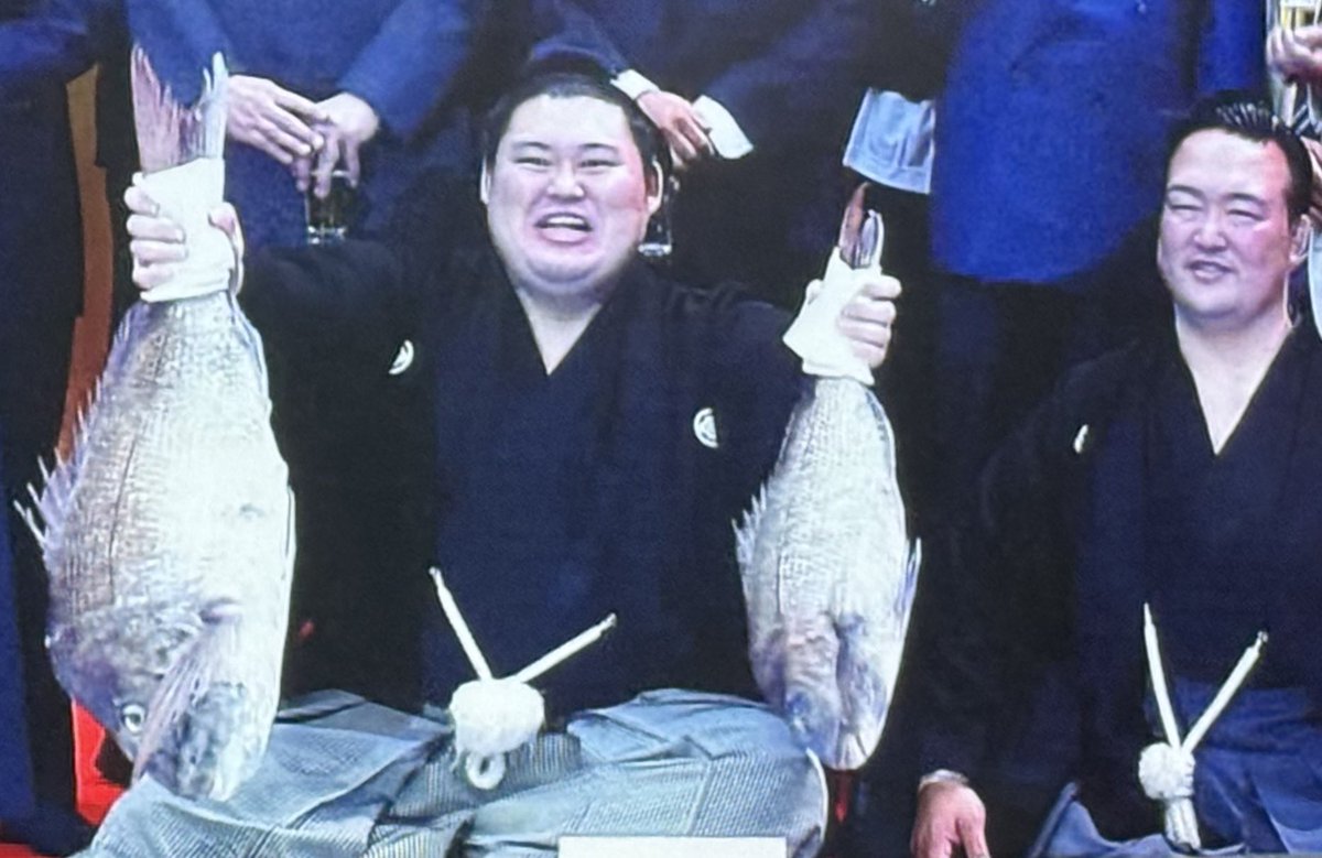 OneLoveLulit's tweet photo. #秋場所2026 #大の里 #鯛
一定数いる鯛ウォッチャーの方へ☆
デカッ！>* ))))>< https://t.co/ooKRHHnceu