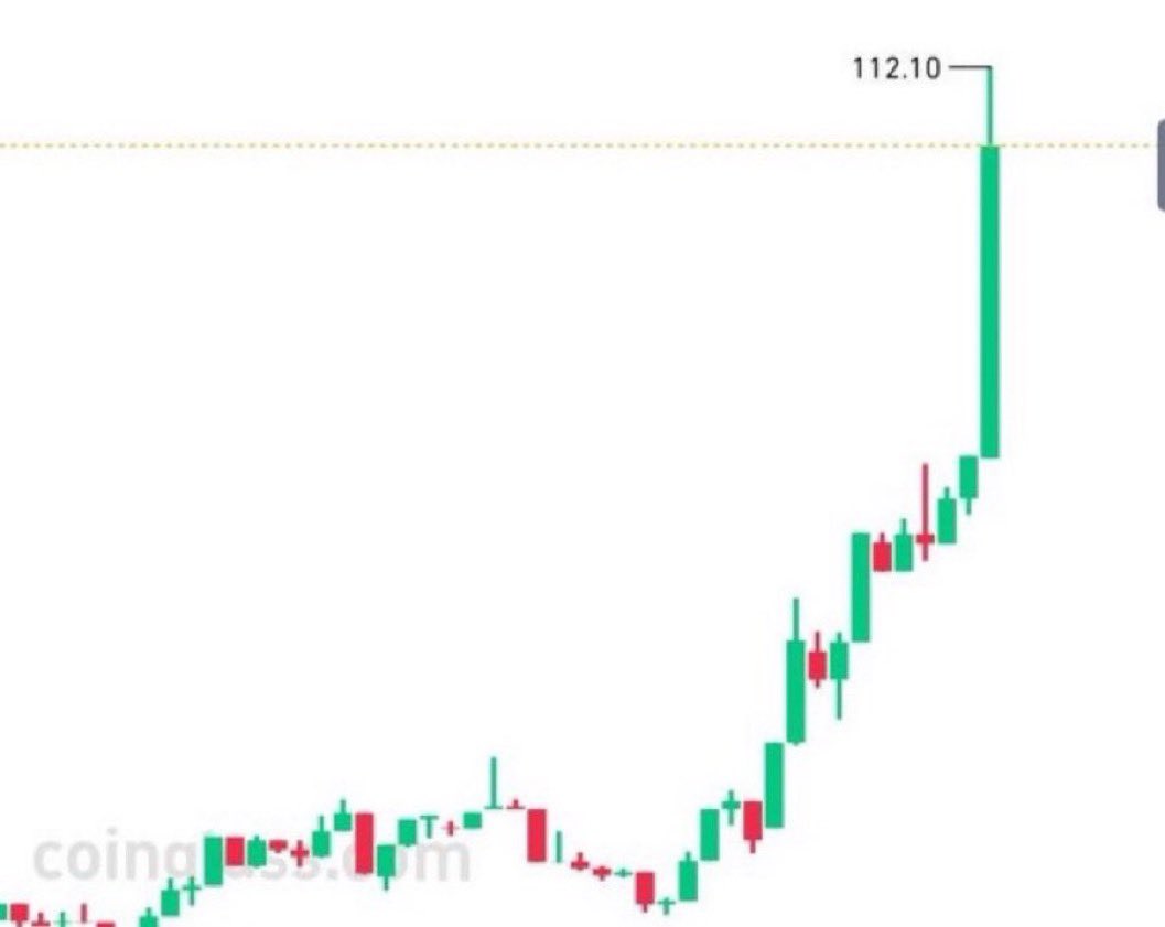 MrHodlReal's tweet photo. What's the next mega viral project? https://t.co/ISQ3NmUV0c