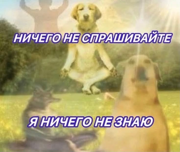 vaelyssclose's tweet photo. чорт выходной 🥰 https://t.co/TkFMrOPyhD