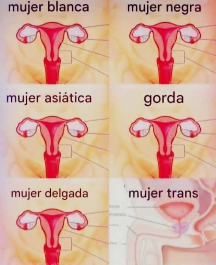 clau_otro's tweet photo. @_Max_Gerscovich @Flordelav https://t.co/6vwdhq8WRK