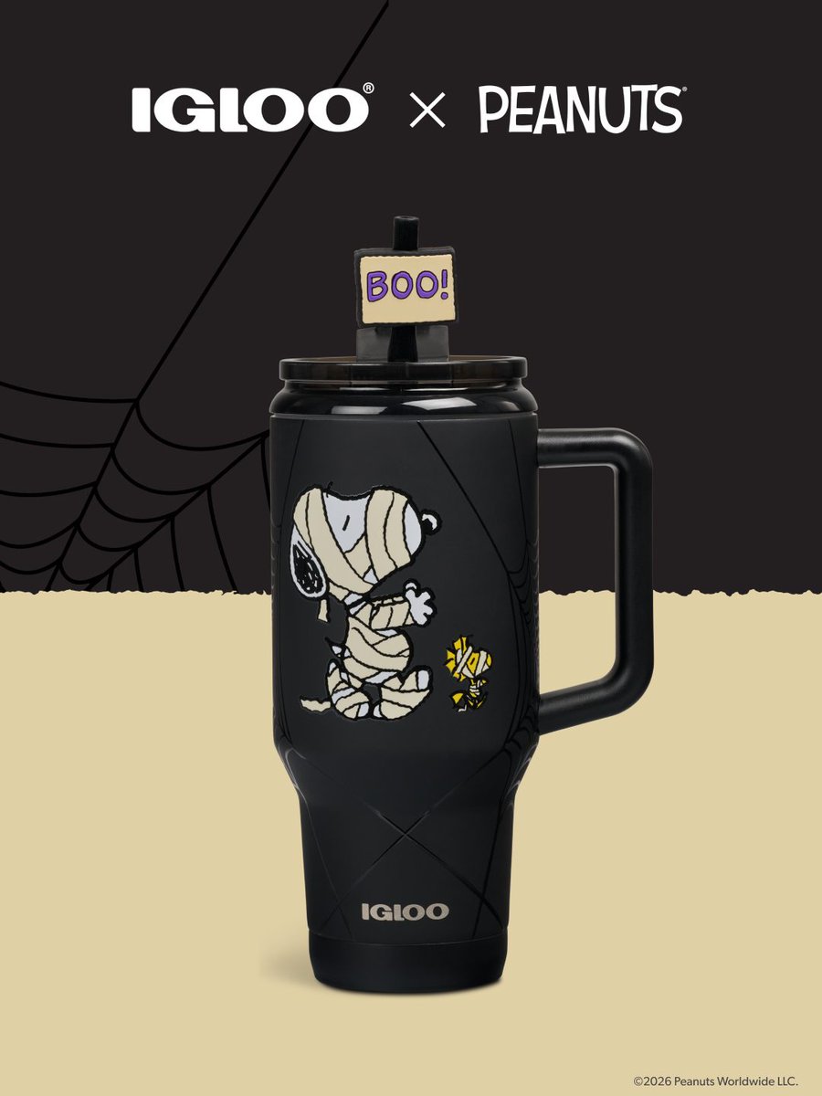 iglooproducts tweet picture