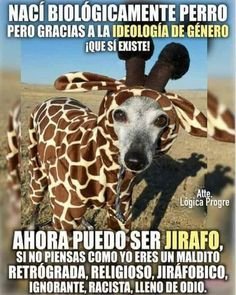 clau_otro's tweet photo. @Flordelav https://t.co/lflOj3YXVw