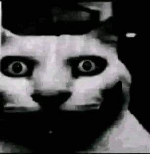 bmoura_0's tweet photo. eu com 7 anos quando ouvia a palavra “bhaskara” https://t.co/L4rfFX5CxE