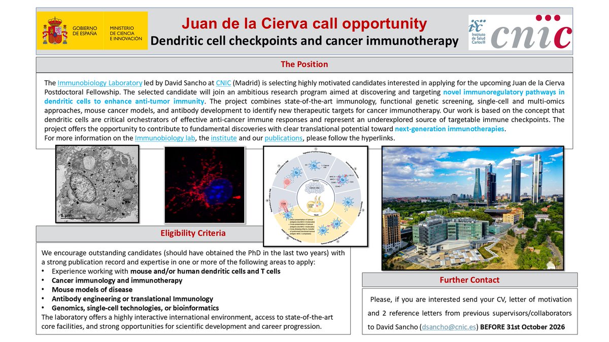 SanchoLab's tweet photo. Are you interested in #cancer #immunotherapy? 
Do you have experience with mouse or human DCs? 
Do you want to join us in a challenging project in Madrid to find new DC checkpoints?
 
Apply for the position with us!
https://t.co/oFs5KLT3xy

📆Deadline: 31st October https://t.co/5GQHd4vQMU