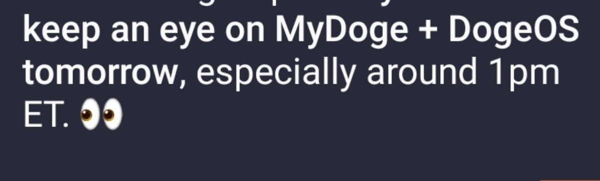 VJYexe's tweet photo. Something is definitely happening today.

The @MyDoge + @DogeOS crew knows. 

~24 hours. Stay close. https://t.co/oOw6PRKnFw