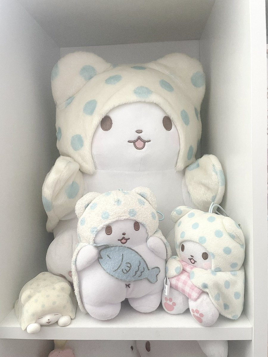 tomie's tweet photo. do u guys like my pastel shelf https://t.co/ePKSxjOILJ