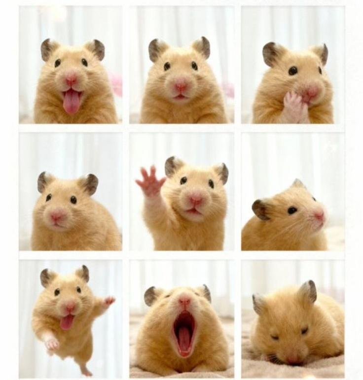 P1H_mingNu23 tweet picture